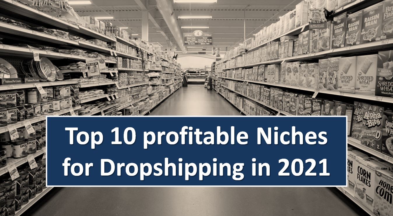 Top 10 Profitable Niches 2021