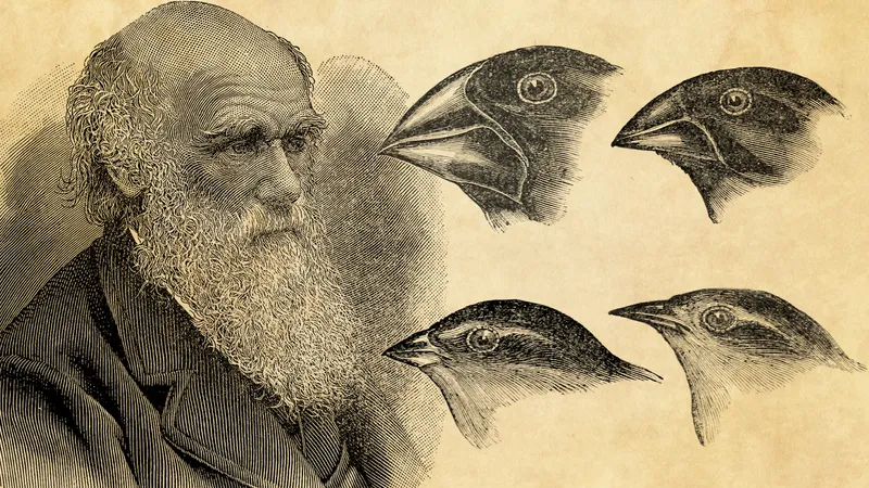 Theory-of-Evolution-Charles-Darwin
