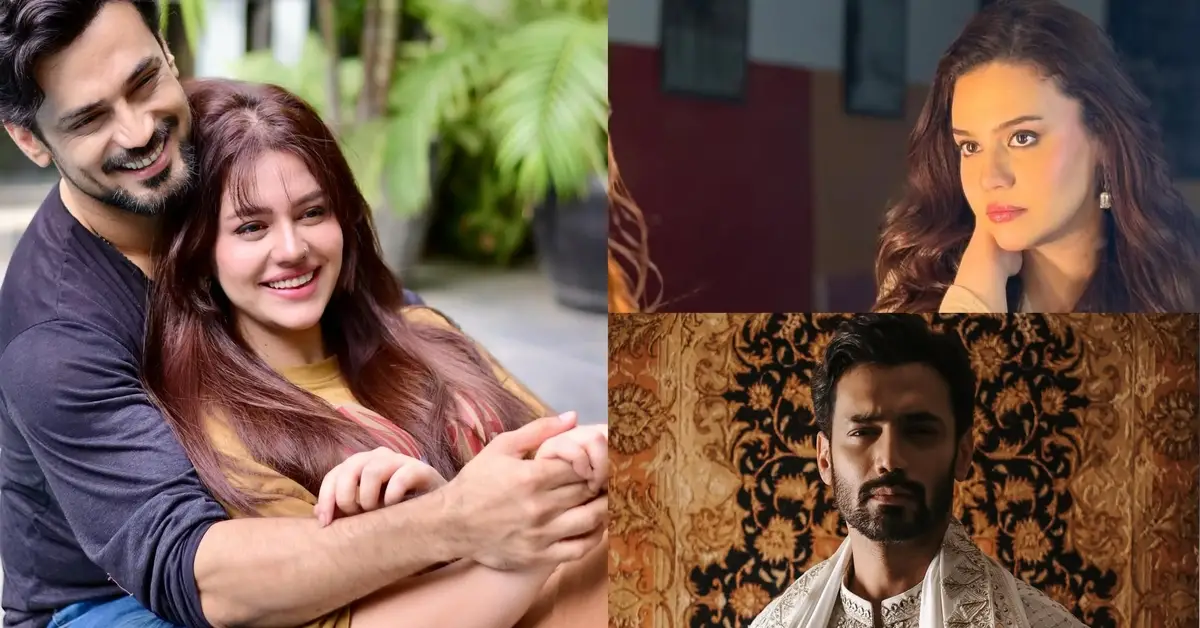 Dil Dhoondta Hai Phir Wohi Drama Cast